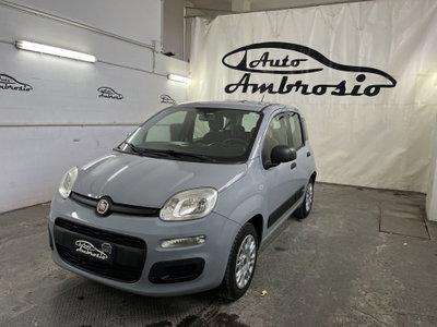 Fiat Panda 1.2 usata
