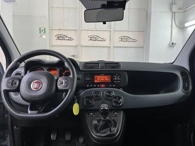 Fiat Panda 1.2 (10)