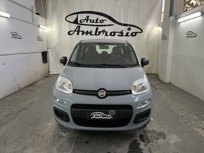 Fiat Panda 1.2 (4)