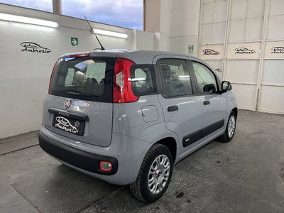Fiat Panda 1.2 (5)