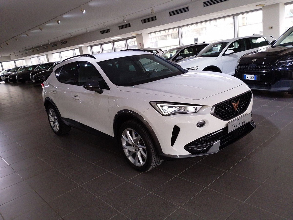 Cupra Formentor Formentor 1.5 TSI (6)