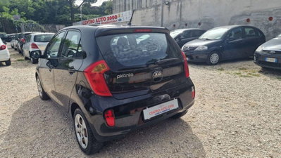 Kia Picanto 1.0 12V EcoGPL 5 porte Cool (5)