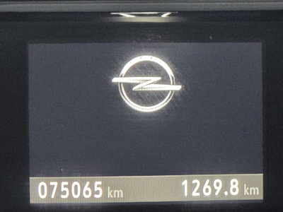 Opel Crossland 1.2 Turbo 12V 130 CV aut. Start&Stop Elegance (12)