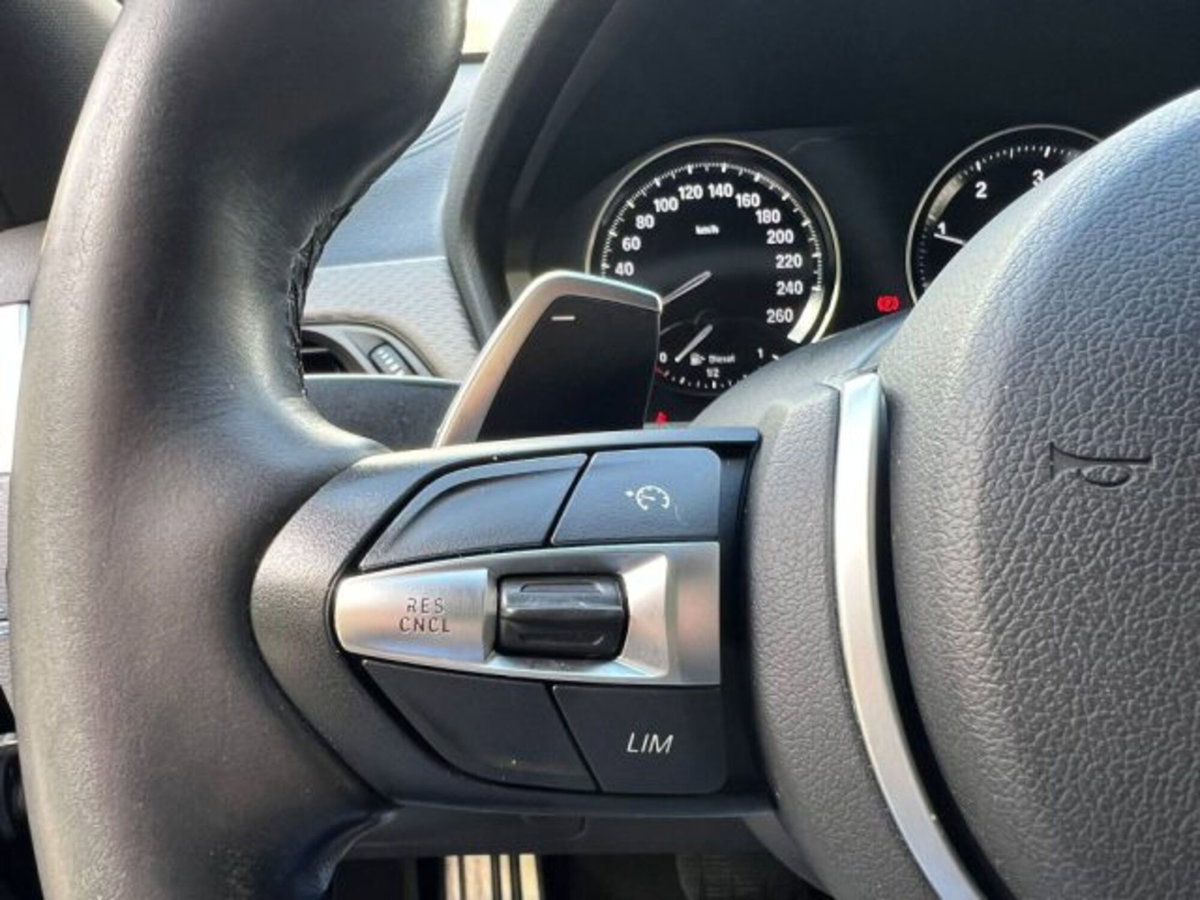 BMW X2 sDrive18d Msport (20)