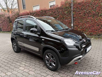 Fiat Panda Cross Cross 1.3 MJT 95 CV S&S 4x4 (3)
