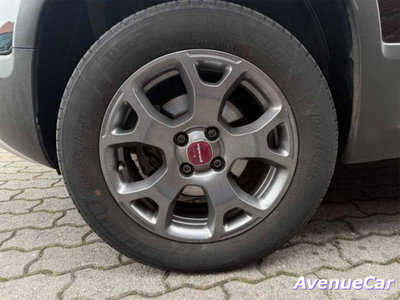 Fiat Panda Cross Cross 1.3 MJT 95 CV S&S 4x4 (9)