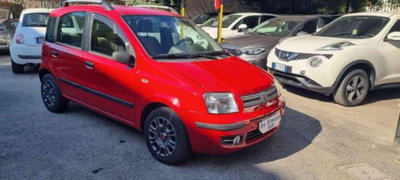 Fiat Panda 1.2 Dynamic GPL (3)