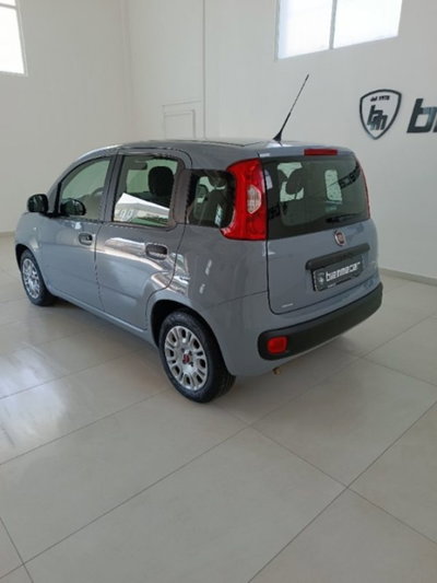 Fiat Panda 1.0 firefly hybrid s&s 70cv 5p.ti (4)