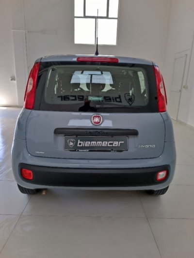 Fiat Panda 1.0 firefly hybrid s&s 70cv 5p.ti (6)