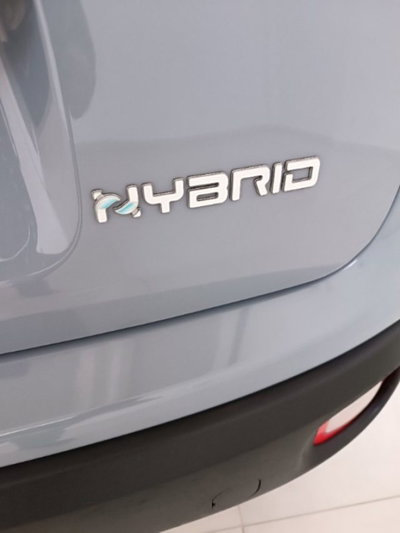 Fiat Panda 1.0 firefly hybrid s&s 70cv 5p.ti (7)