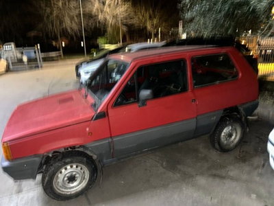 Fiat Panda 1000 4x4 Sisley usata