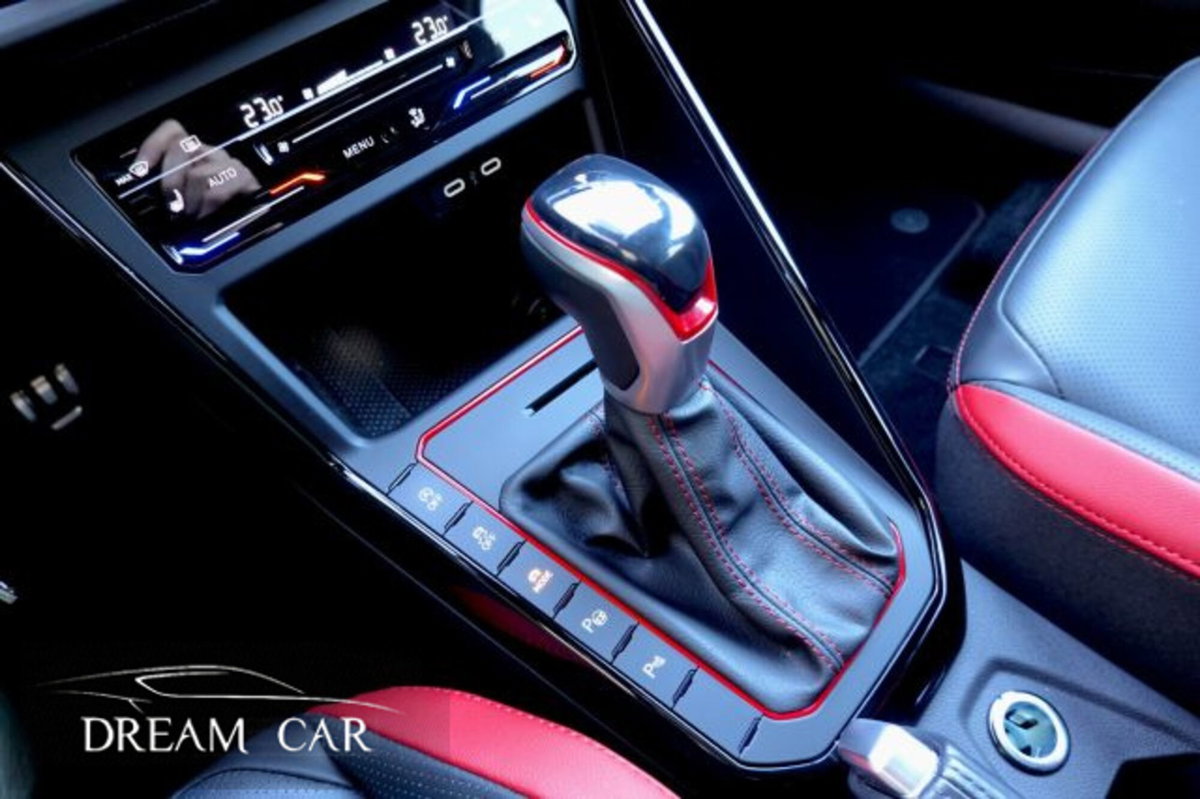 Volkswagen Polo 2.0 tsi GTI dsg (15)