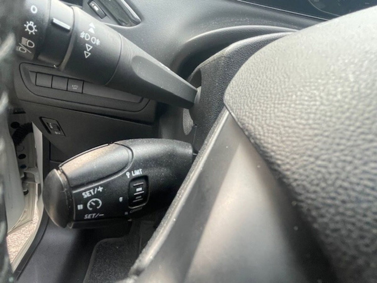 Peugeot 208 BlueHDi 100 Stop&Start 5 porte Active (12)