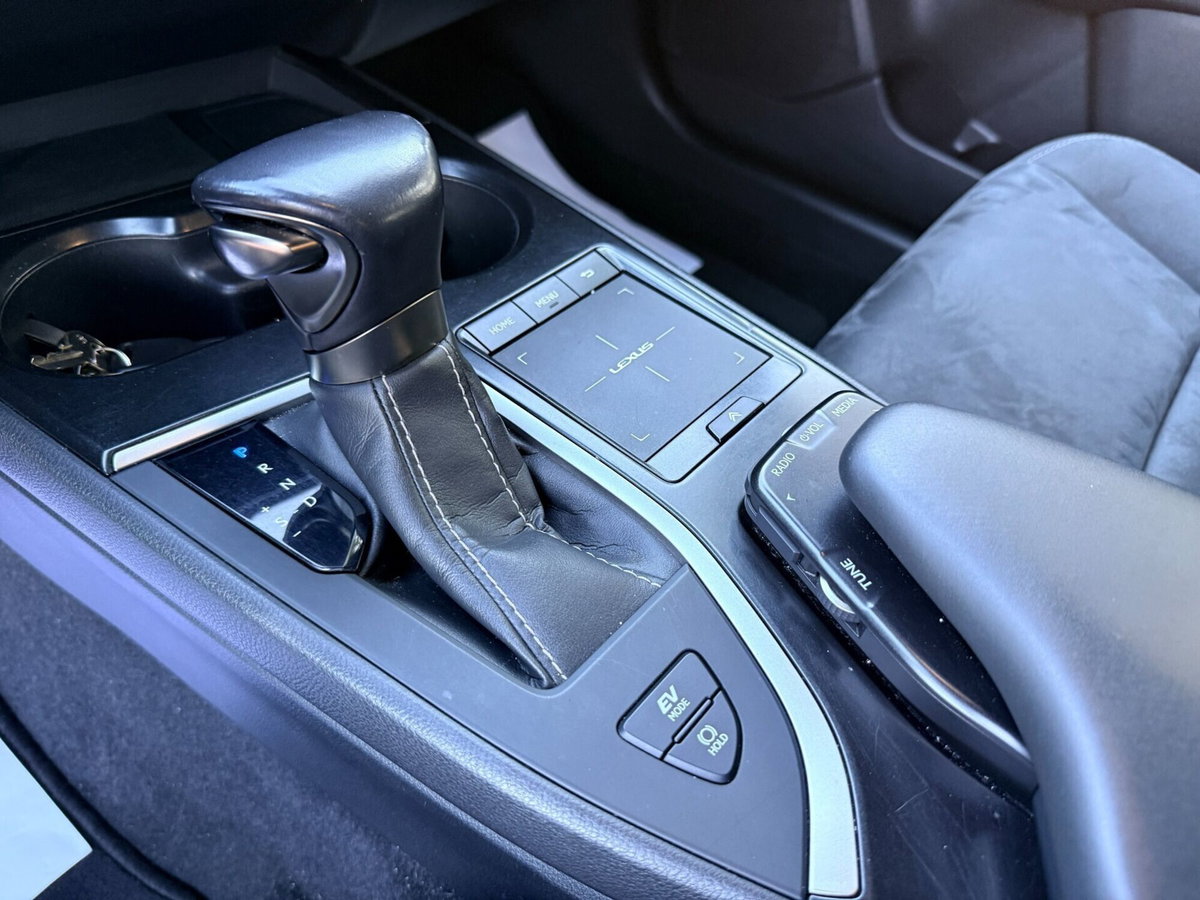 Lexus UX Hybrid Business (14)