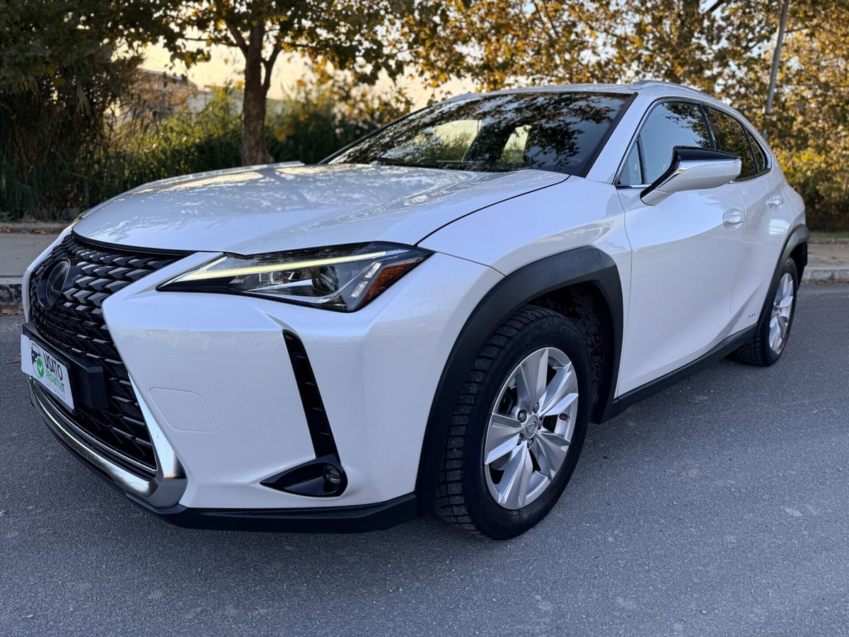 Lexus UX Hybrid Business (2)