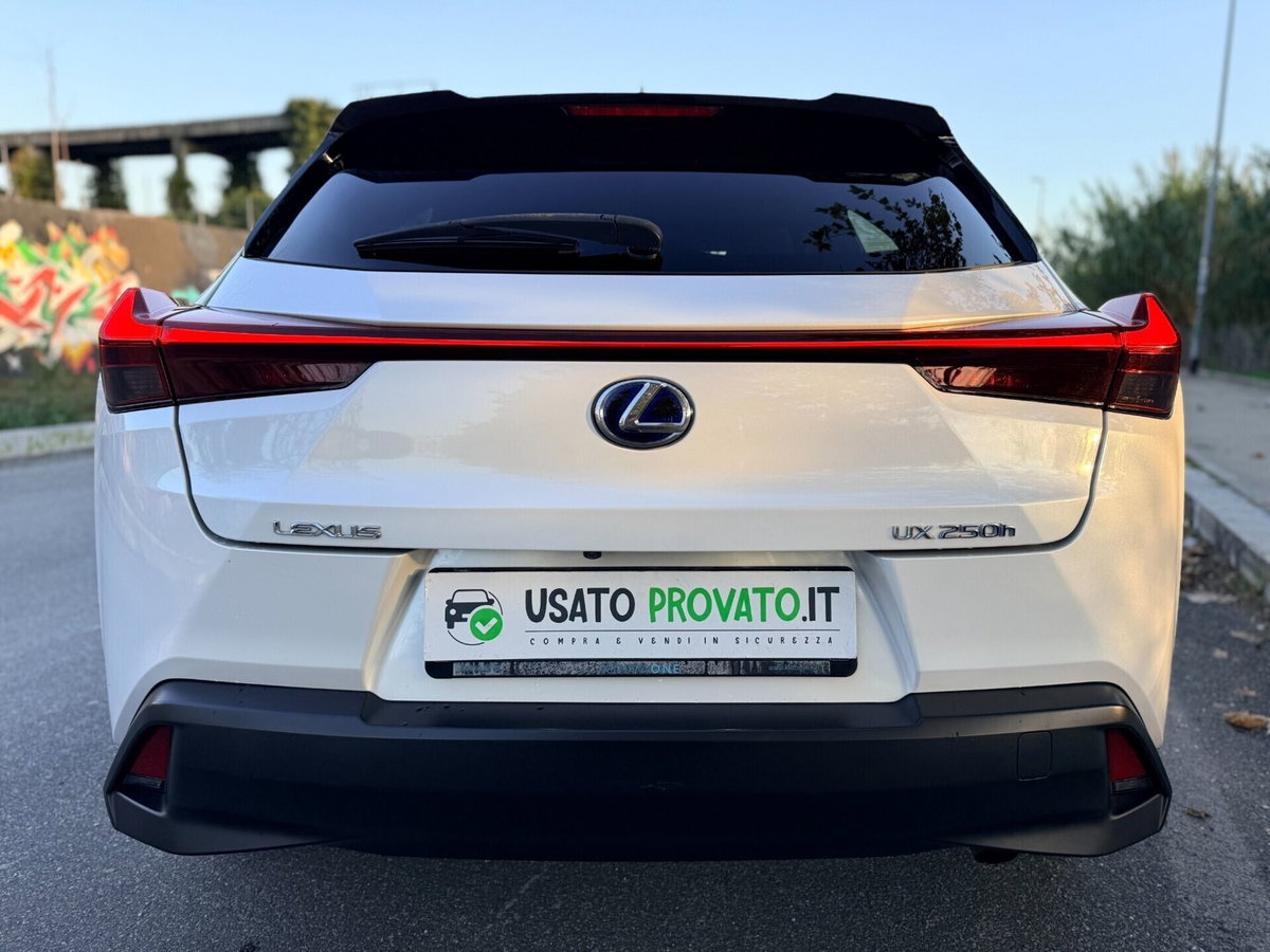 Lexus UX Hybrid Business (6)
