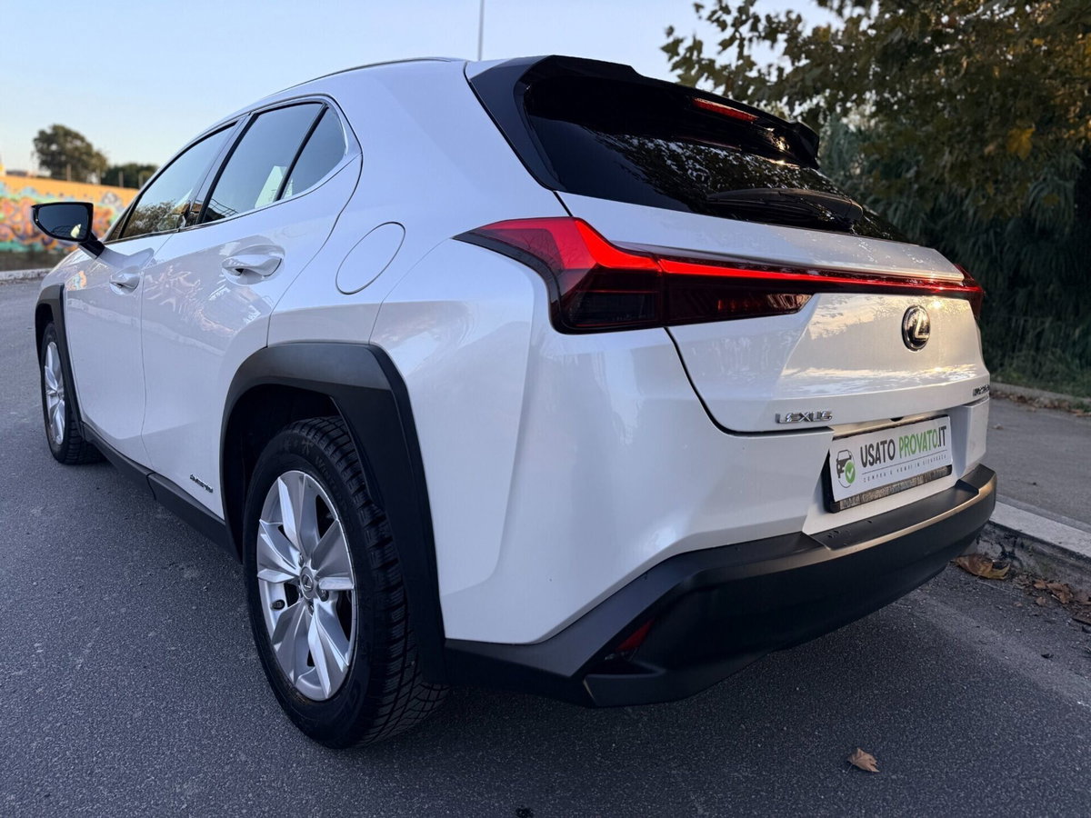 Lexus UX Hybrid Business (8)