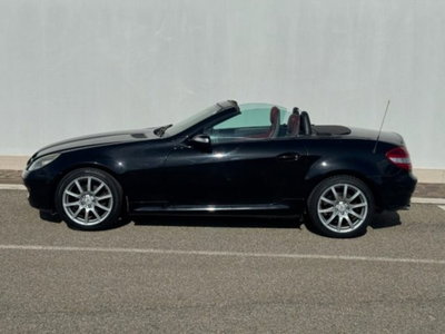 Mercedes-Benz SLK 200 Kompressor cat (3)