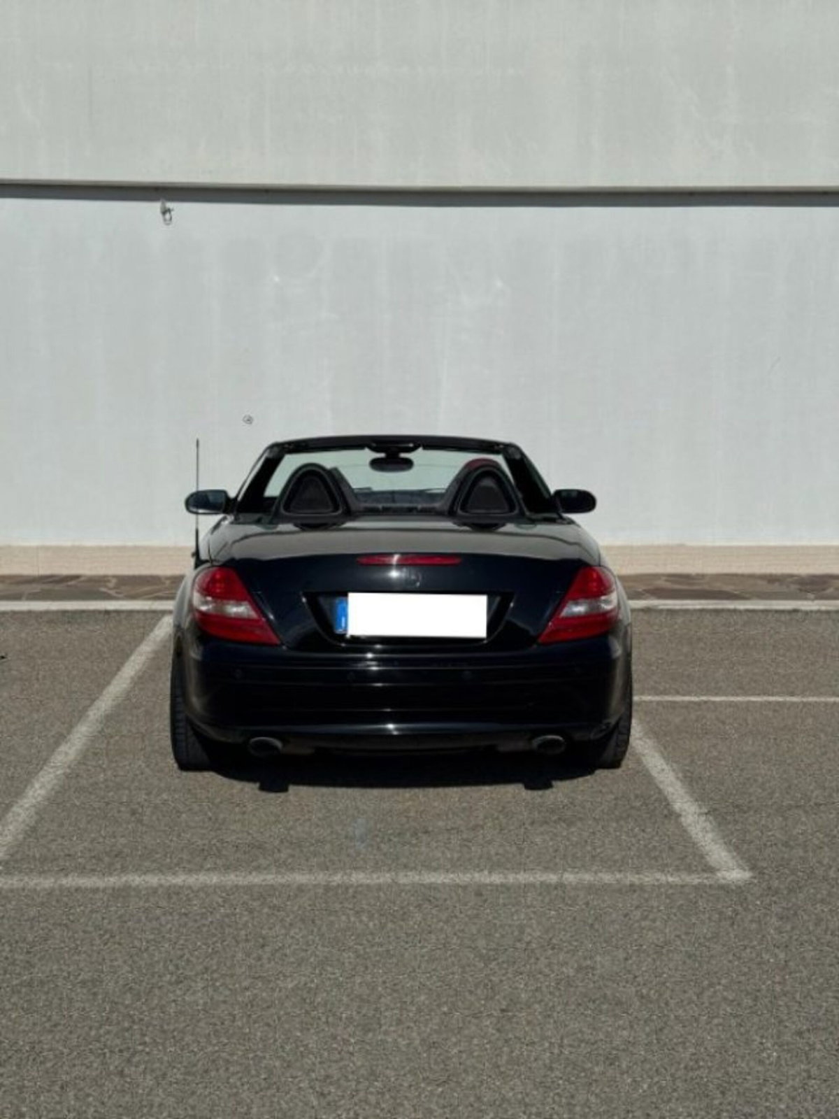 Mercedes-Benz SLK 200 Kompressor cat (4)