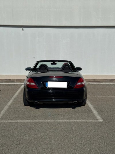 Mercedes-Benz SLK 200 Kompressor cat (4)