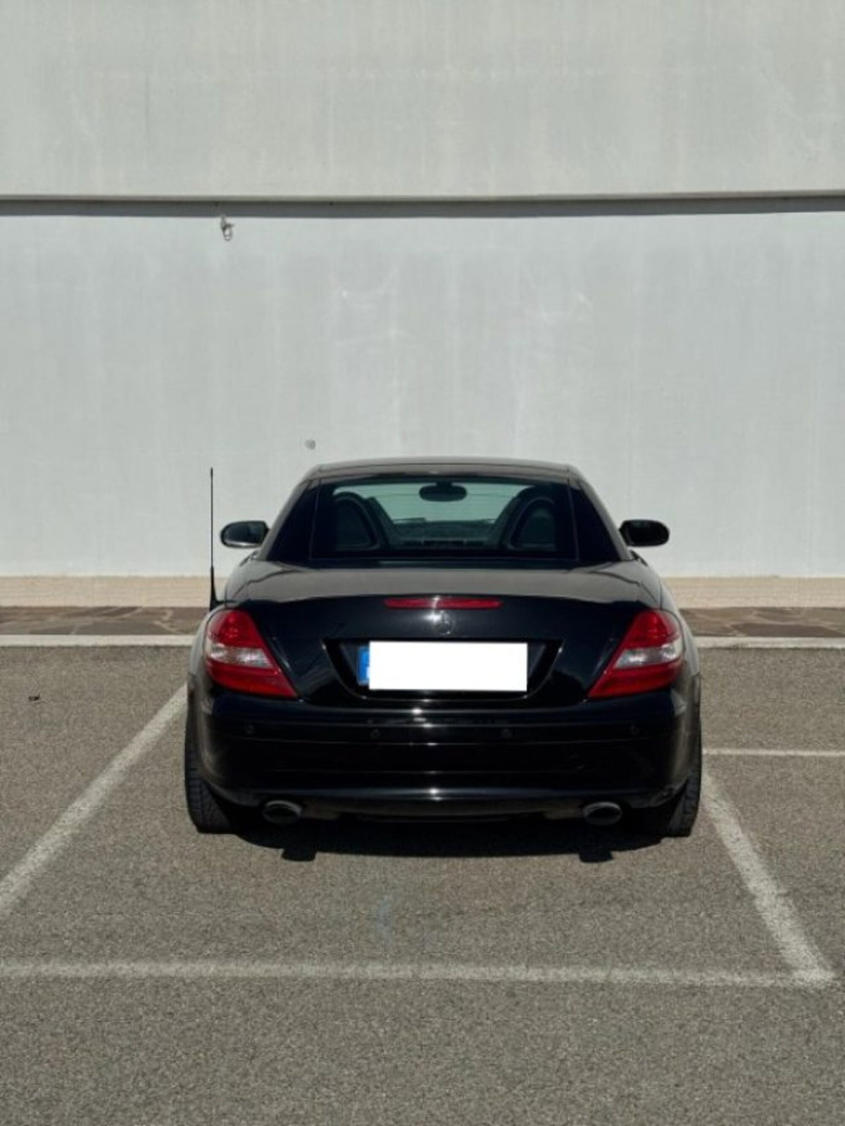 Mercedes-Benz SLK 200 Kompressor cat (5)