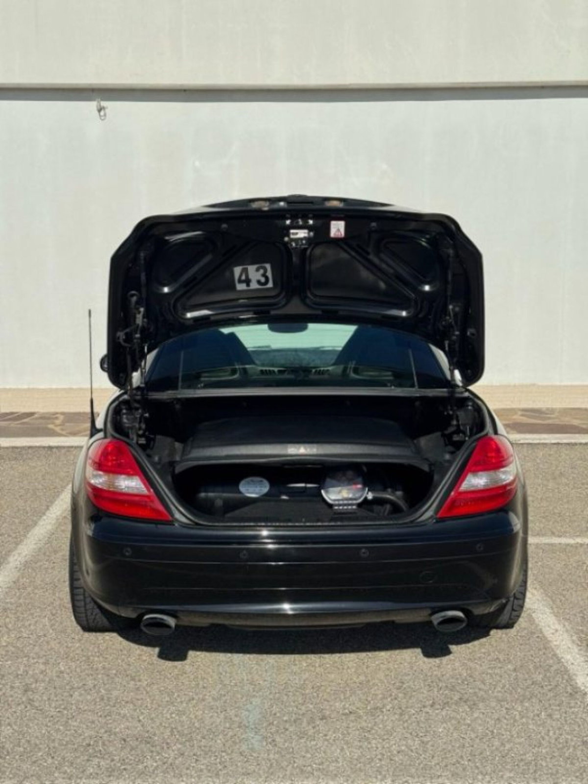Mercedes-Benz SLK 200 Kompressor cat (7)