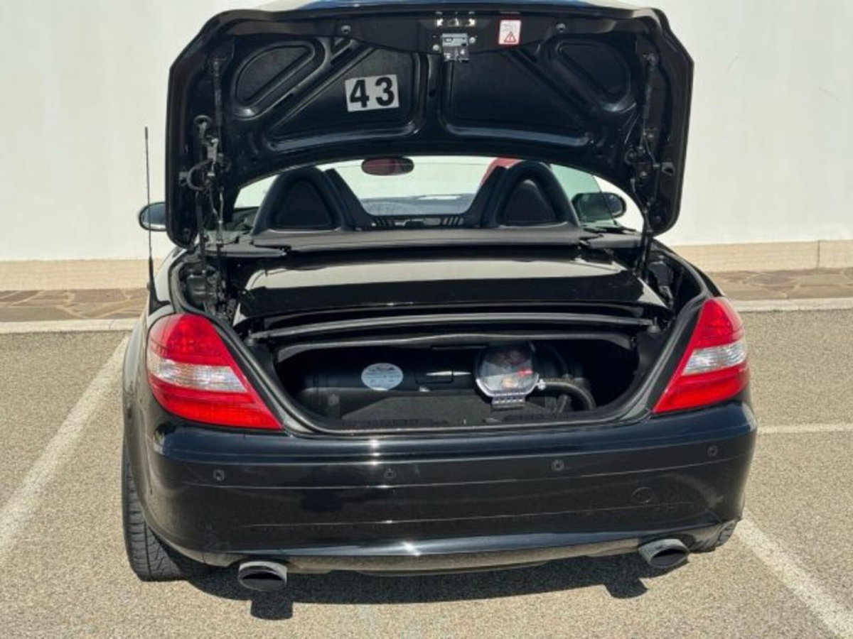 Mercedes-Benz SLK 200 Kompressor cat (8)
