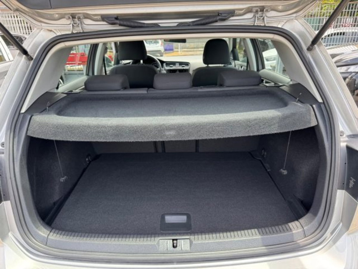 Volkswagen Golf 1.5 TGI DSG 5p. Executive BlueMotion Technology (8)