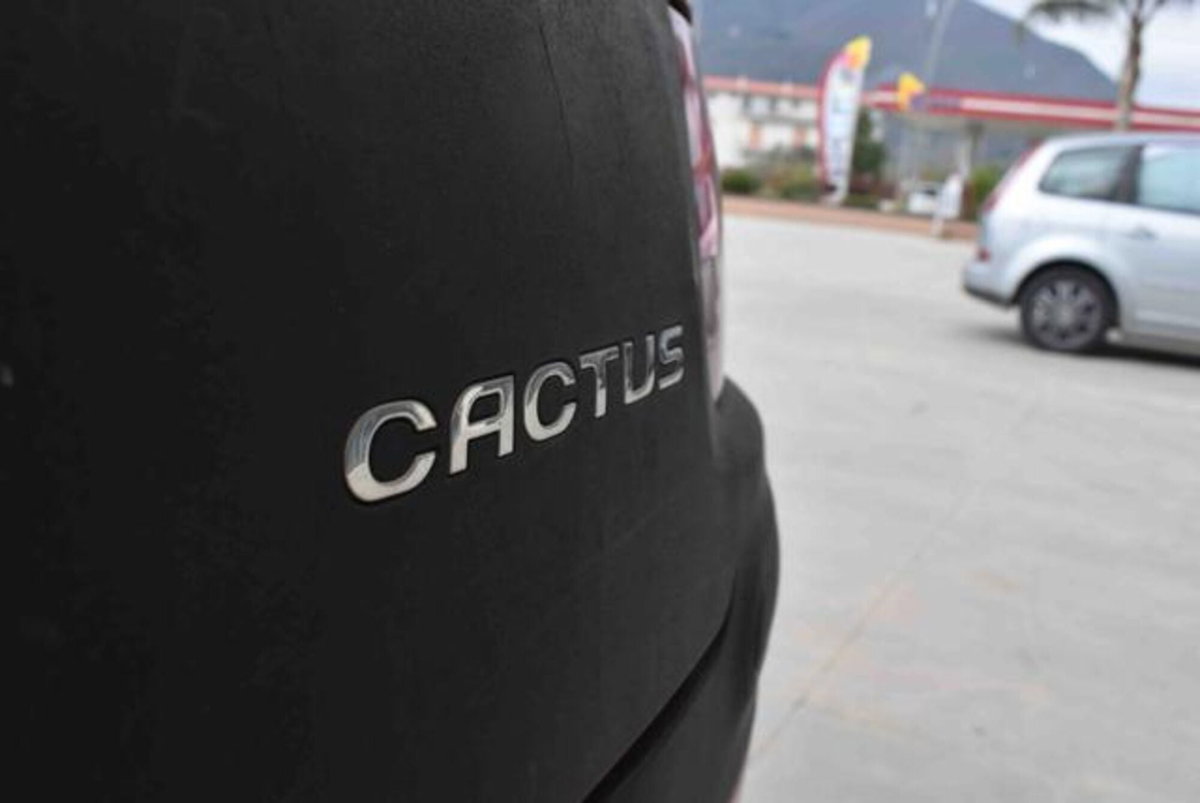Citroen C4 Cactus PureTech 82 Feel (20)