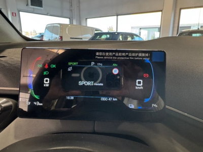 Byd Dolphin Surf 43,2 kWh Comfort (15)
