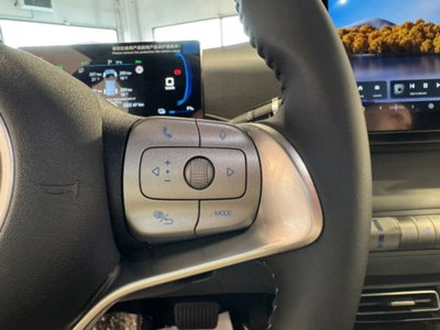 Byd Dolphin Surf 43,2 kWh Comfort (6)