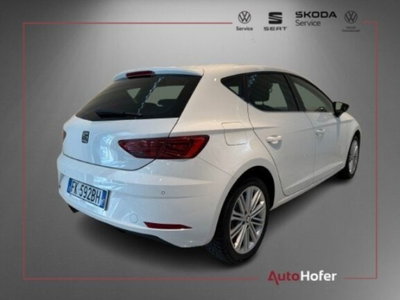 SEAT Leon 2.0 tdi Business 150cv dsg (3)