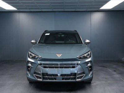 Cupra Terramar 2.0 tsi VZ 4drive 265cv dsg (2)