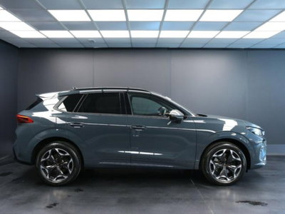 Cupra Terramar 2.0 tsi VZ 4drive 265cv dsg (6)
