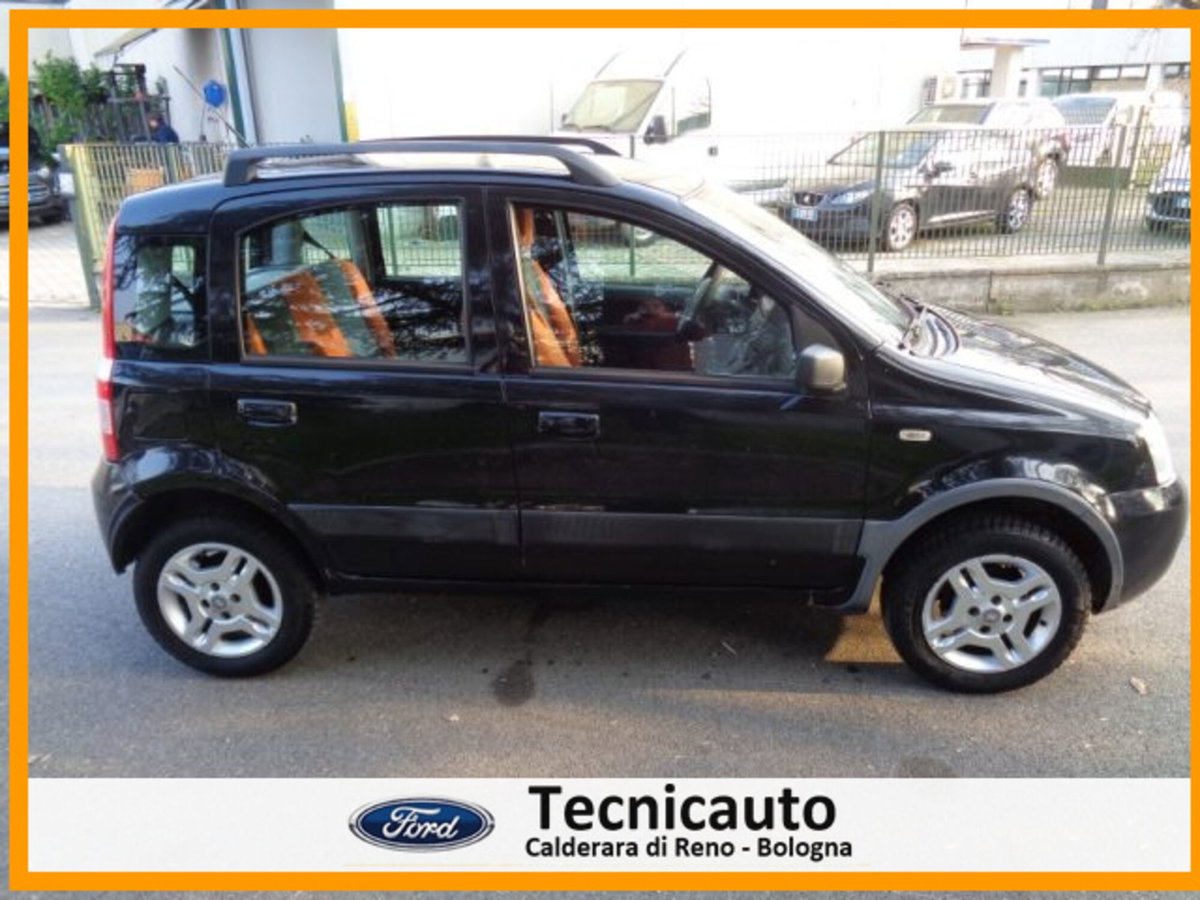 Fiat Panda 1.2 Dynamic Natural Power (3)