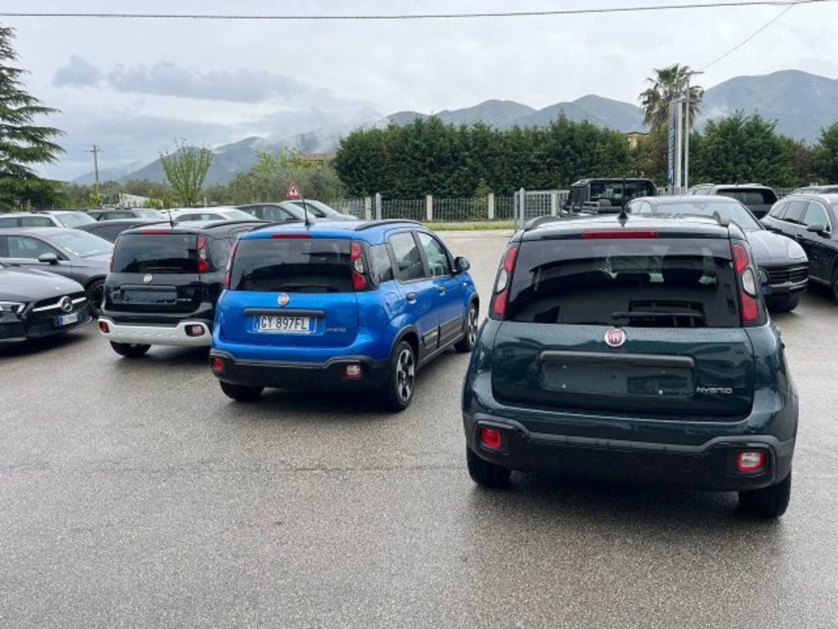 Fiat Panda Cross 1.0 firefly hybrid Cross s&s 70cv 5p.ti (2)