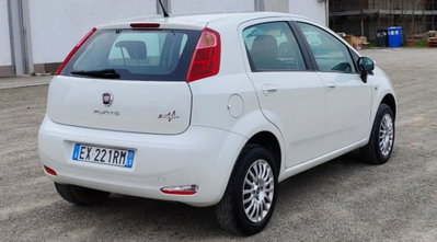 Fiat Punto 1.4 8V 5 porte Natural Power Lounge (18)