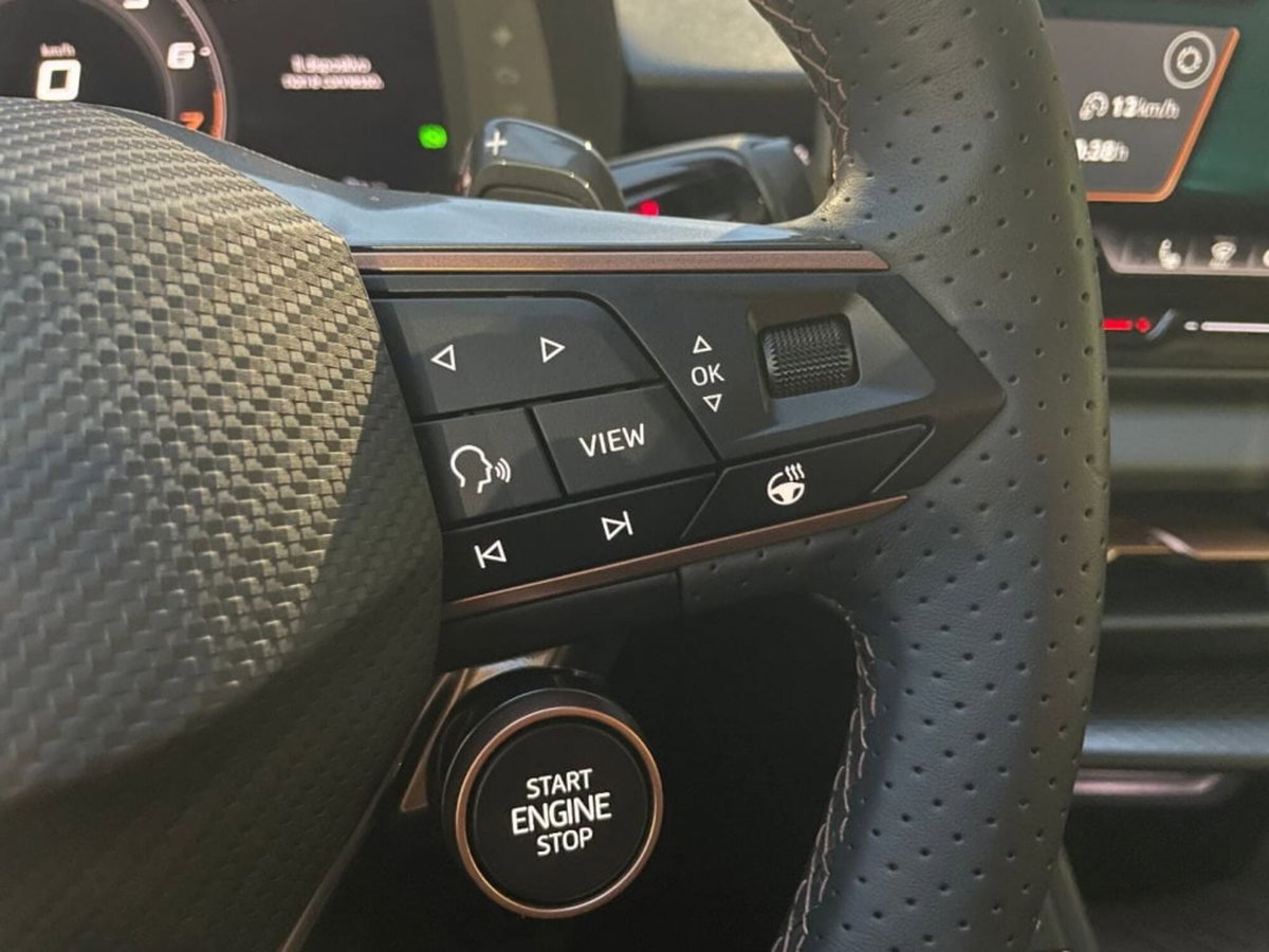 Cupra Terramar 1.5 hybrid 150cv dsg (11)