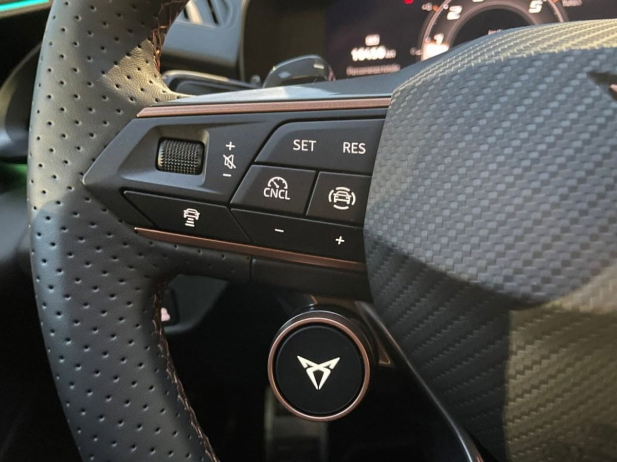 Cupra Terramar 1.5 hybrid 150cv dsg (12)