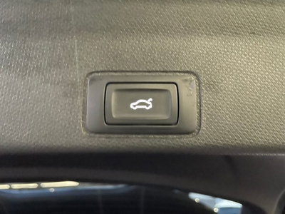 Cupra Terramar 1.5 hybrid 150cv dsg (15)