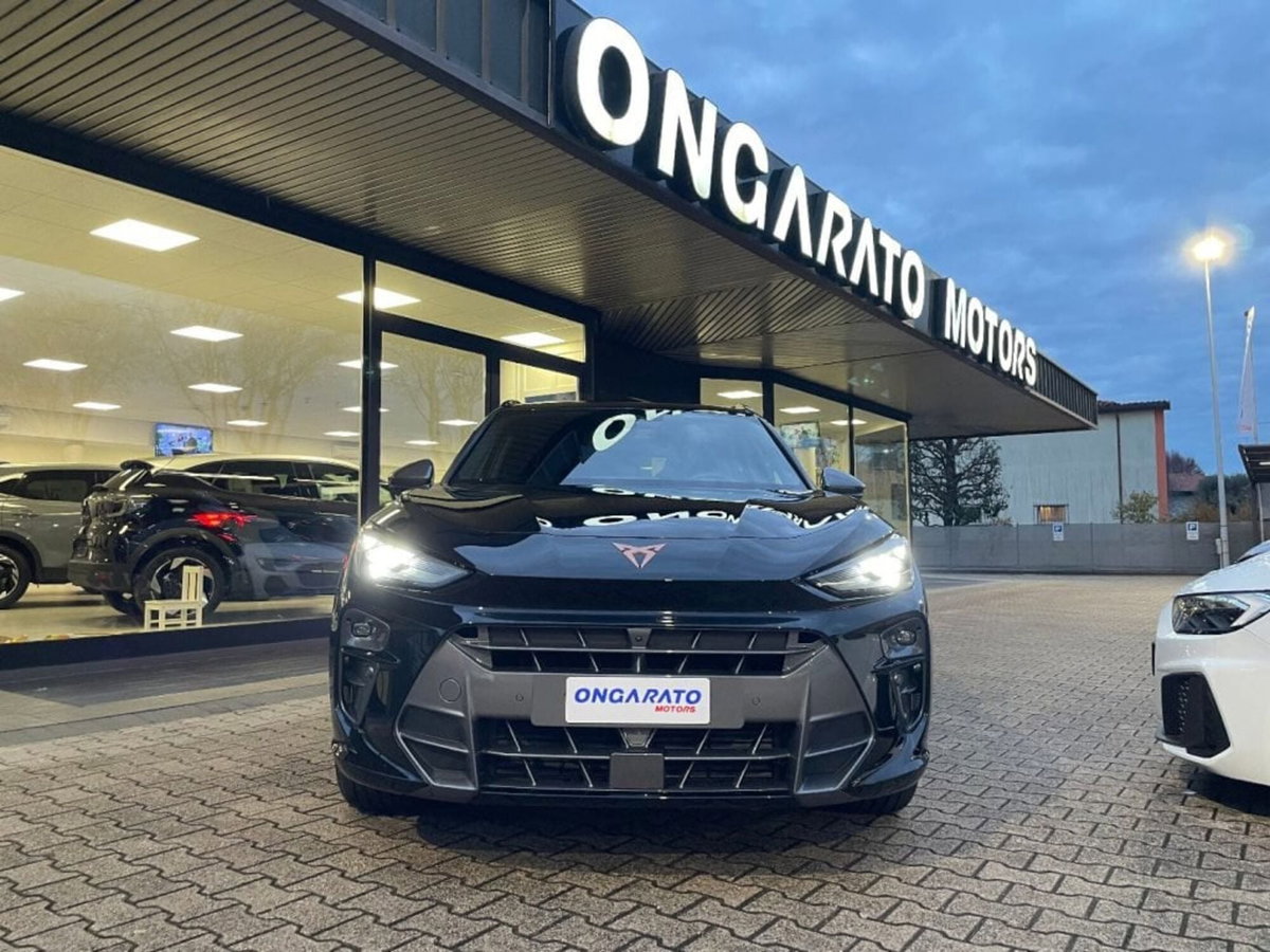 Cupra Terramar 1.5 hybrid 150cv dsg (2)