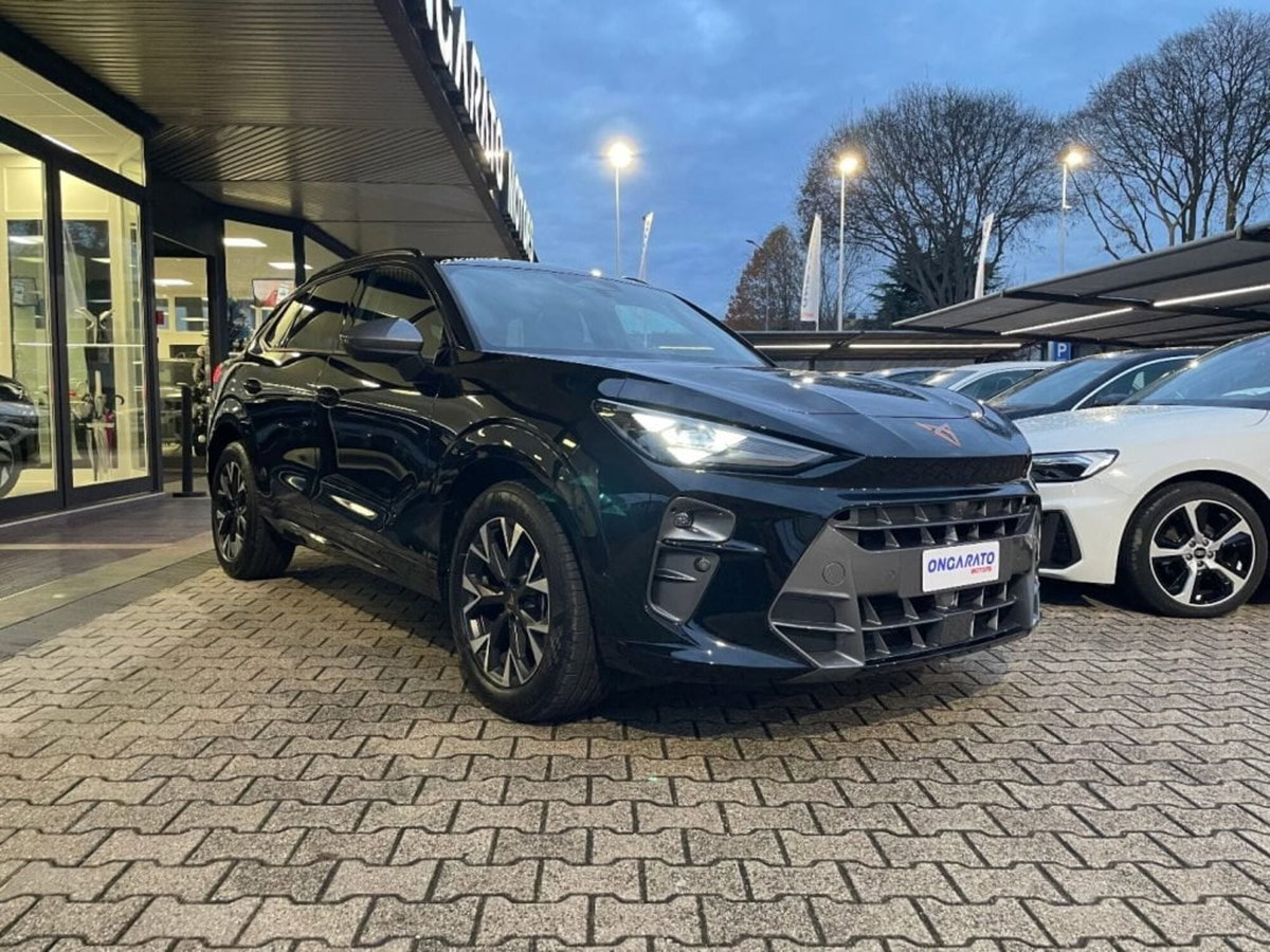 Cupra Terramar 1.5 hybrid 150cv dsg (3)
