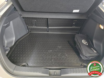 Toyota Toyota C-HR 1.8 hv Lounge fwd e-cvt (8)