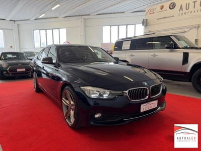 BMW Serie 3 Touring 318d  Business Advantage (3)
