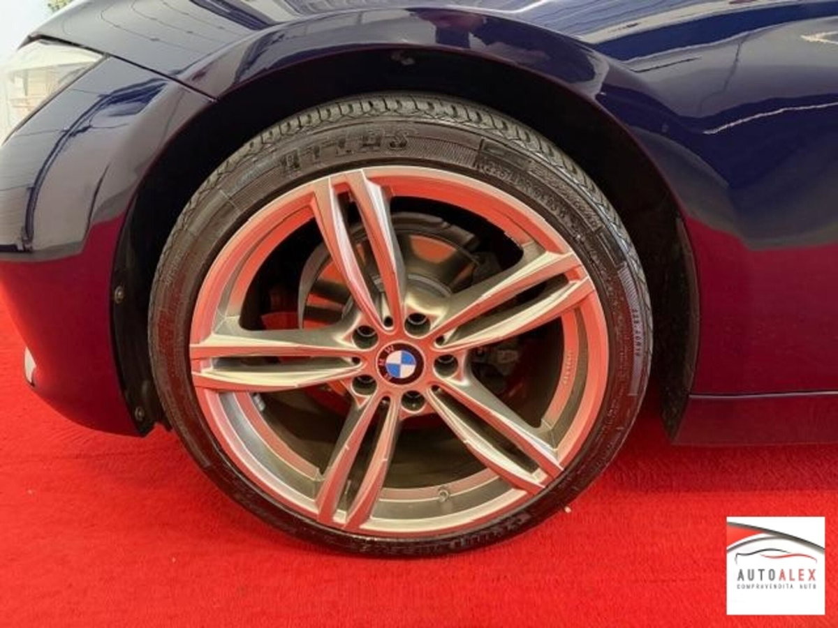 BMW Serie 3 Touring 318d  Business Advantage (7)