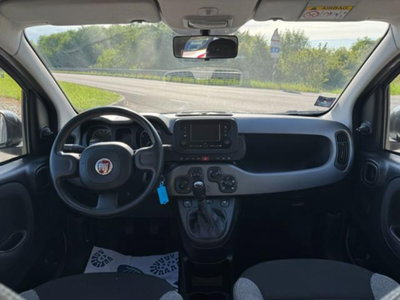 Fiat Panda 1.0 firefly hybrid s&s 70cv 5p.ti (12)