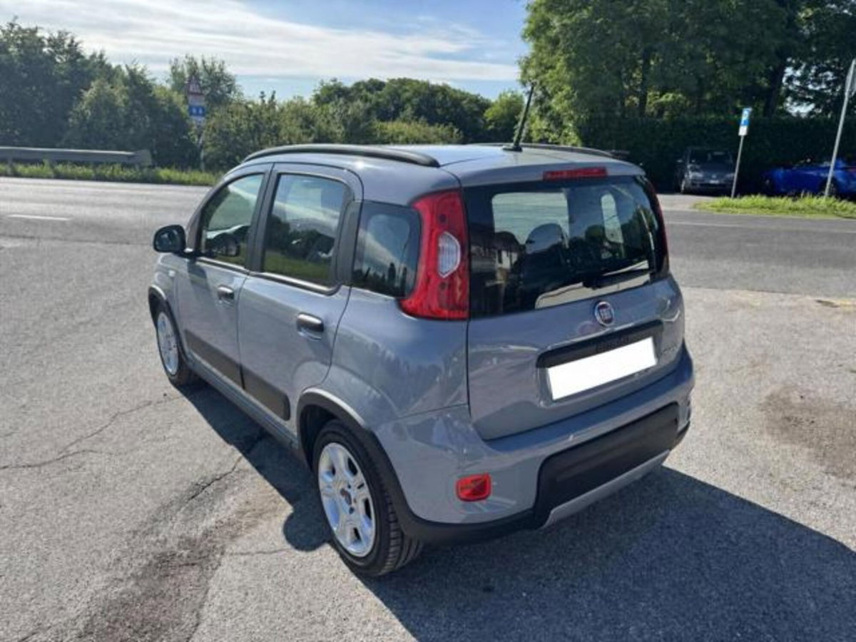 Fiat Panda 1.0 firefly hybrid s&s 70cv 5p.ti (4)