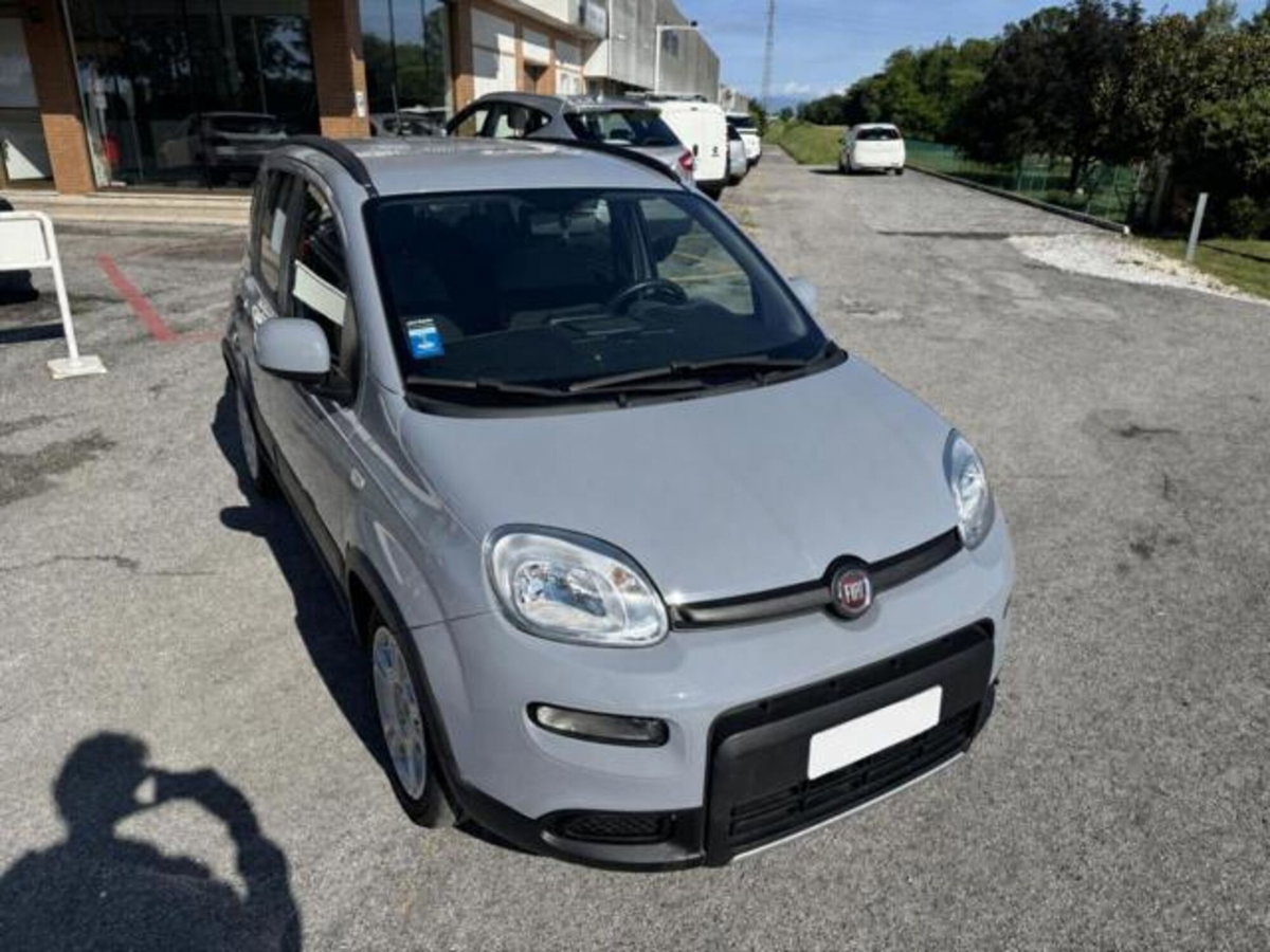 Fiat Panda 1.0 firefly hybrid s&s 70cv 5p.ti (8)