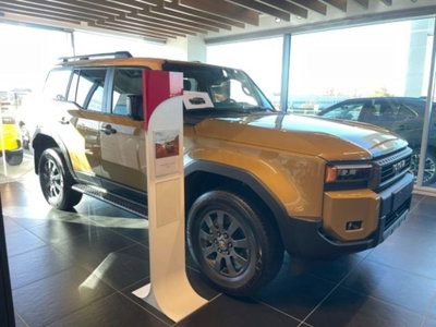 Toyota Land Cruiser 2.8 mhev Icon awd auto