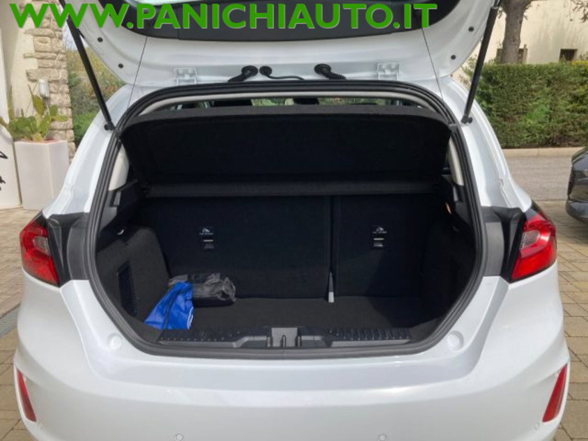 Ford Fiesta 1.1 75 CV GPL 5 porte Titanium (8)